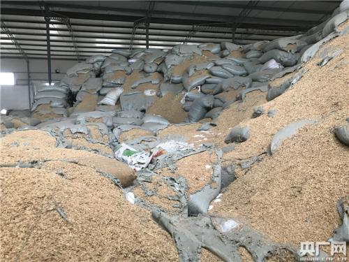 記者在萬(wàn)寶12號(hào)13號(hào)倉(cāng)發(fā)現(xiàn)存在不同品類(lèi)不同性質(zhì)的混裝現(xiàn)象