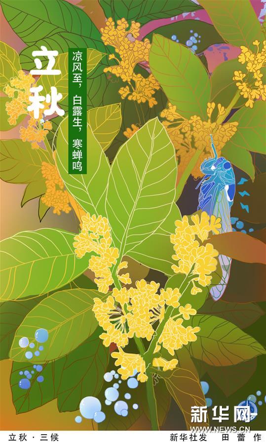 （圖表&middot;插畫(huà)）［二十四節(jié)氣&middot;立秋］立秋&middot;三候